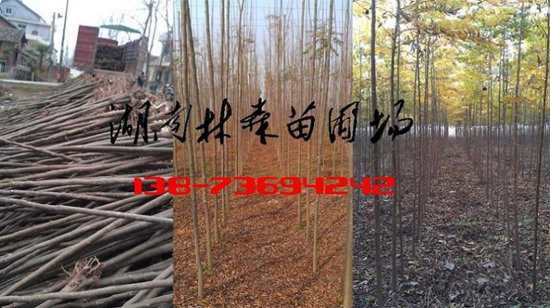 ������11.13