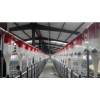 母猪供料系统-猪食槽采购-新乡市现代养猪设备厂