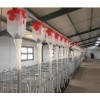 猪用供料系统厂家 河南塑料地板销售 新乡市现代养猪设备厂