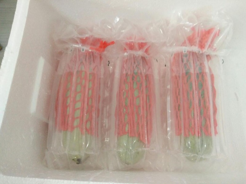 TB2m3tTbamWBuNkHFJHXXaatVXa_!!1762872160